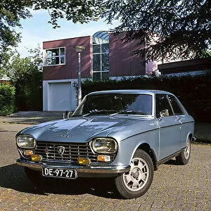 Images Dated 11th July 2010: Peugeot 204 Coupe