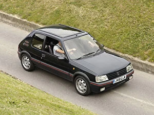 Images Dated 6th June 2010: Peugeot 205 GTi 1. 9