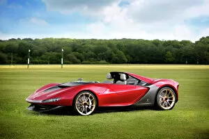 Images Dated 31st May 2013: Pininfarina Sergio Concept Roadster, 2013, Red, metallic
