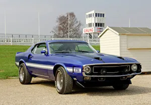 Conversion Gallery: Shelby GT350 Mustang