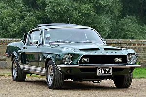 1/18 フォード マスタング シェルビー グリーン 緑 Ford Mustang