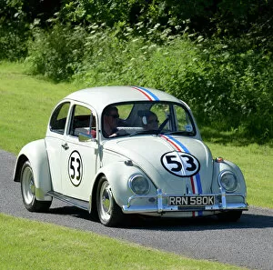 1971 Gallery: VW Volkswagen Classic Beetle (Herbie) 1971 Beige with race decals