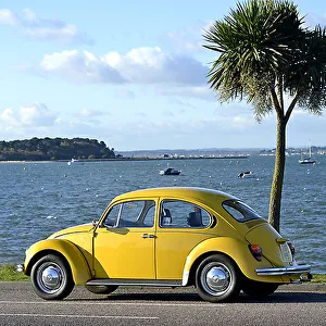 VW Volkswagen Classic Beetle (Special Edition), 1984, Yellow VW Volkswagen Classic Beetle (Special Edition), 1984, Yellow
