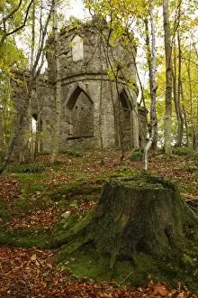 Wood Land Collection: Stone-built folly in woodland habitat, The Burn, Glen Esk, near Edzell, Angus, Scotland, october
