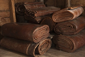 1000 pounds of rolled Balata for crafts Balata or Bullet Wood Tree is bled for 1000 pounds of rolled Balata for crafts Balata or Bullet Wood Tree is bled for