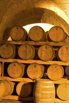 19th Century Wine Cellar, Juanico Winery, Uruguays largest and most award-winning 19th Century Wine Cellar, Juanico Winery, Uruguays largest and most award-winning