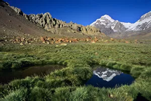 22, 841 summit of Cerro Aconcagua, highest mountain in the Andes, towers above