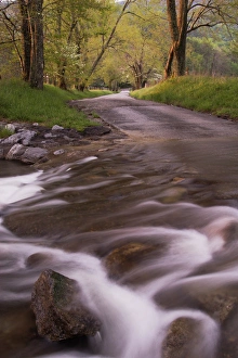 Abrahms Creek crossing Sparks Lane Cades Cove Great Smoky Mountains N.P. TN Abrahms Creek crossing Sparks Lane Cades Cove Great Smoky Mountains N.P. TN
