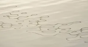 <b class=qtipBold><figcaption>Abstract Water Reflection</figcaption></b><br><em>© Ken Archer / DanitaDelimont.com</em> Abstract Water Reflection