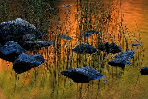 ME Acadia NP, Fall reflections with rocks and reeds at Bubble Pond ME Acadia NP, Fall reflections with rocks and reeds at Bubble Pond