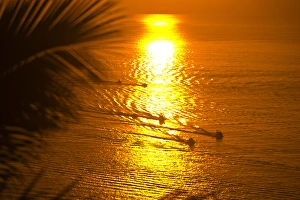 Aerial view of fishing boats at sunrise from Pedregal Hill, Cabo San Lucas Aerial view of fishing boats at sunrise from Pedregal Hill, Cabo San Lucas
