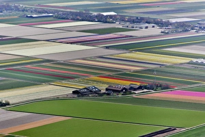 Aerial view of flower field patterns surrounding Amsterdam, Holland Aerial view of flower field patterns surrounding Amsterdam, Holland