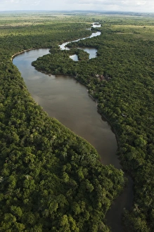 Aerial View of Rainforest Iwokrama Reserve GUYANA South America Aerial View of Rainforest Iwokrama Reserve GUYANA South America