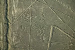 Images Dated 4th January 2006: Aerial view of spider drawing, Nazca Lines, Peru
