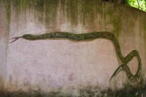 Related Images Gallery: Africa, Benin