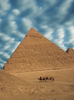 Africa, Egypt, Cairo. Great Pyramids. Man and camels walk past Great Pyramids. Credit as Africa, Egypt, Cairo. Great Pyramids. Man and camels walk past Great Pyramids. Credit as