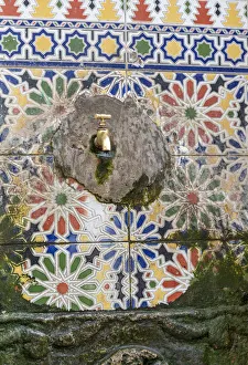 Africa, Morocco, Essaouira. Algae around wall faucet Africa, Morocco, Essaouira. Algae around wall faucet