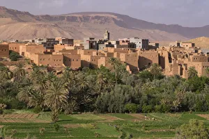 Africa, Morocco. The oasis behind the village of Tinerhir is a rich farming area Africa, Morocco. The oasis behind the village of Tinerhir is a rich farming area
