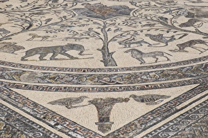 Africa, Morocco, detail of a preserved mosaic tile floor in Volubilis, a large compound Africa, Morocco, detail of a preserved mosaic tile floor in Volubilis, a large compound