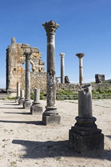 Africa, Morocco. Stone columns and remnants of an arch at the roman ruins of Volubilis Africa, Morocco. Stone columns and remnants of an arch at the roman ruins of Volubilis