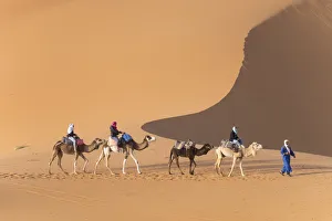 Africa, Morocco. Tourists ride camels in Erg Chebbi in the Sahara desert Africa, Morocco. Tourists ride camels in Erg Chebbi in the Sahara desert