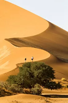Images Dated 26th September 2010: Africa, Namibia, Namib Desert, Namib-Naukluft National Park, Sossusvlei
