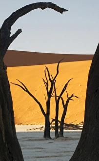 Africa, Namibia, Namib-Naukluft Park, Sossusvlei Africa, Namibia, Namib-Naukluft Park, Sossusvlei
