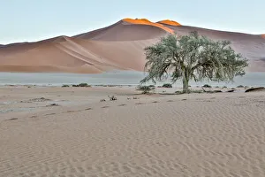 <b class=qtipBold><figcaption>Africa, Namibia, Sossusvlei Dunes</figcaption></b><br><em>© Copyright Hollice Looney / Danita Delimont</em> Africa, Namibia, Sossusvlei Dunes