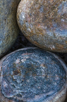 Africa, South Africa, Buckballbaai. Cluster of rocks rounded by erosion. Credit as Africa, South Africa, Buckballbaai. Cluster of rocks rounded by erosion. Credit as