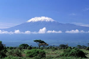 Tanzania Gallery: Africa, Tanzania. Mount Kilimanjaro, African landscape and zebra