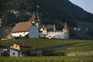 Images Dated 8th June 2005: Aigle Castle, vineyards, Vaud, Switzerland