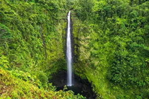 Akaka Falls, Akaka Falls State Park, Hamakua Coast, The Big Island, Hawaii, USA Akaka Falls, Akaka Falls State Park, Hamakua Coast, The Big Island, Hawaii, USA
