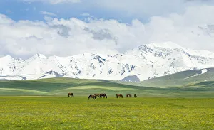 The Alaj valley with the Transalai mountains in the background. The Pamir Mountains The Alaj valley with the Transalai mountains in the background. The Pamir Mountains