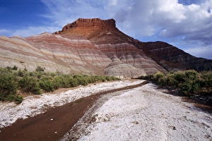 Alkaline-crusted streambed near Old Paria Townsite in Grand Staircase Escalante National Monument Alkaline-crusted streambed near Old Paria Townsite in Grand Staircase Escalante National Monument