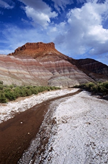 Alkaline-encrusted streambed near Old Paria Townsite in Grand Staircase Escalante National Monument Alkaline-encrusted streambed near Old Paria Townsite in Grand Staircase Escalante National Monument