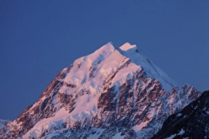 Alpenglow on Aoraki Mount Cook, Mackenzie Country, South Canterbury, South Island Alpenglow on Aoraki Mount Cook, Mackenzie Country, South Canterbury, South Island