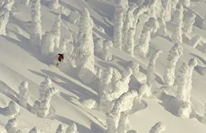 Alpine Skier in thick snowghosts at Big Mountain Resort in Whitefish, Montana. (MR) Alpine Skier in thick snowghosts at Big Mountain Resort in Whitefish, Montana. (MR)