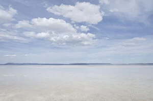 Playa Gallery: Alvord Lake, a seasonal shallow alkali lake in Harney County, Oregon