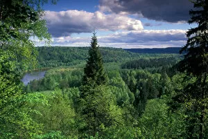 Baltic Country Gallery: Ancient valley of Gauja River in the Guaja National Park from Painters / Artist s