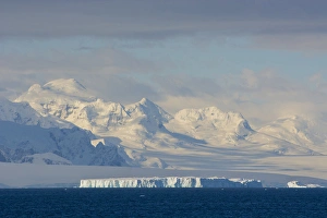 Antarctica. Antarctic Peninsula. South of the Antarctic Circle. near Adelaide Island Antarctica. Antarctic Peninsula. South of the Antarctic Circle. near Adelaide Island