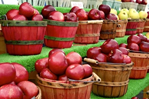 Apples being sold at a Farmers Market. Velarde, New Mexico Apples being sold at a Farmers Market. Velarde, New Mexico