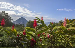Arenal Volcano in Costa Rica with tropical flowers Arenal Volcano in Costa Rica with tropical flowers