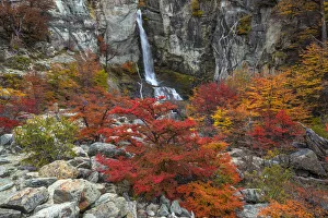 Argentina, Patagonia, El Chalten. Waterfall and autumn colors on southern beech trees Argentina, Patagonia, El Chalten. Waterfall and autumn colors on southern beech trees