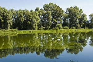 Arno River at Ponte Buriano, Ponte Buriano, Arezzo Province, Tuscany, Italy, Europe Arno River at Ponte Buriano, Ponte Buriano, Arezzo Province, Tuscany, Italy, Europe