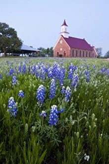 Art Methodist Church and bluebonnets near Mason, Texas Art Methodist Church and bluebonnets near Mason, Texas