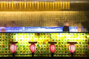 <b class=qtipBold><figcaption>Asia, China</figcaption></b><br>China, Shanghai. Bar in the Xin Tian Di bar district.<br><em>© Michael DeFreitas / DanitaDelimont.com</em> Asia, China