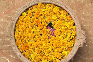 Images Dated 20th January 2014: Asia, India, Rajasthan, an offering of marigold flowers centered with a lotus blossom