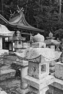 Asia, Japan, Heguri-cho. Stone lanterns at Byo-Do-Ji Kasuga Shrine