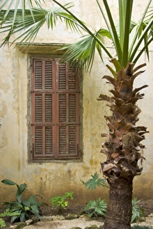 Images Dated 31st January 2004: Asia, Lebanon