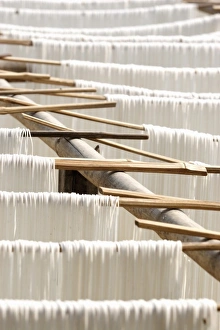 Asia, Myanmar, Hsipaw, noodles drying in the sun Asia, Myanmar, Hsipaw, noodles drying in the sun